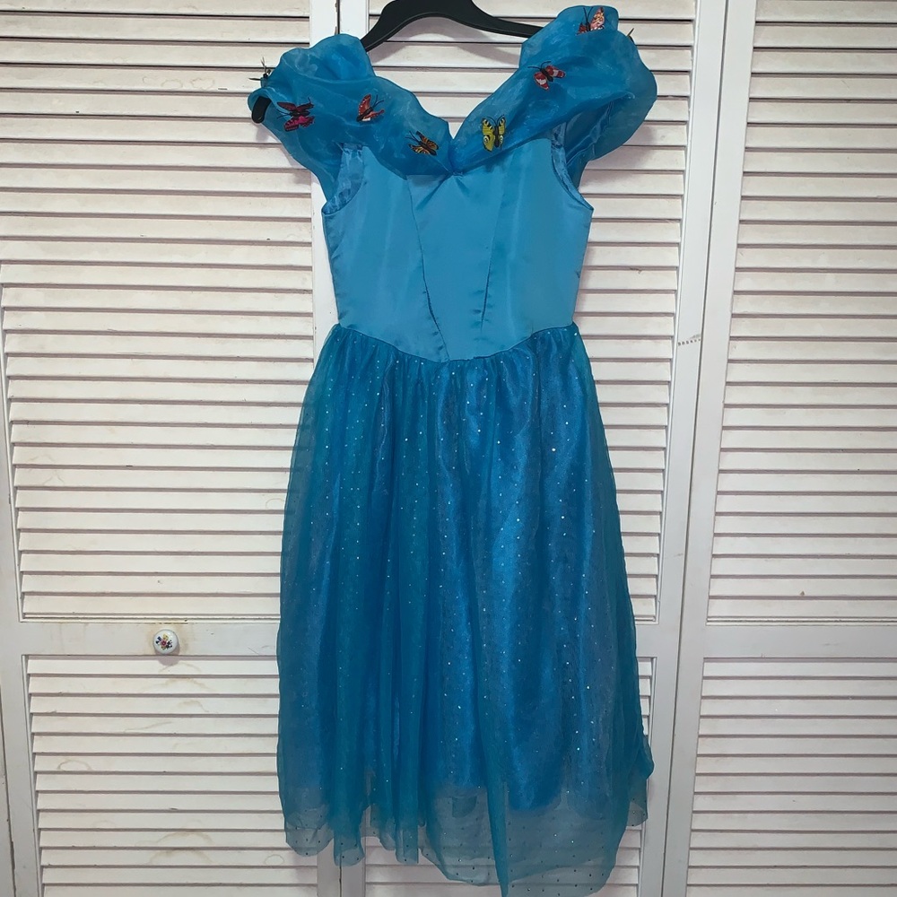 Girls Cinderella princess dress